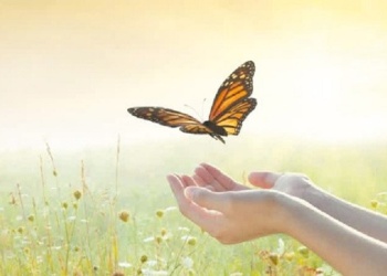 Cerrar ciclos para volver a comenzar