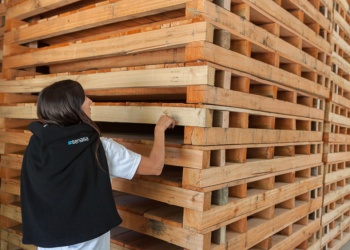 Imponen nuevas reglas para el ingreso de embalajes de madera al país