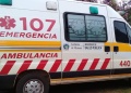 Joven colono se autolesionó de un disparo cuando faenaba un vacuno