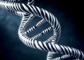 Una franja a la vez: aumentando la conciencia sobre las enfermedades raras en América Latina