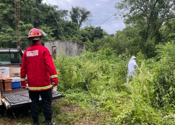 Bomberos intervinieron en Santo Pipó tras el ataque de un enjambre de abejas