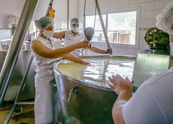 Preocupación de productores: hay poca venta de queso misionero y sobra leche