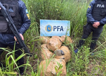 La Policía Federal secuestró más de 213 kilos de marihuana en un paso ilegal de Puerto Esperanza