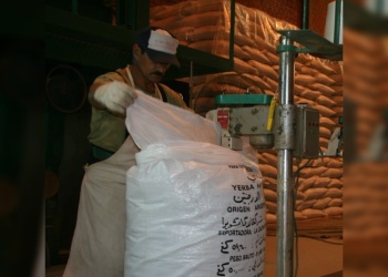 Las exportaciones de yerba mate alcanzaron un récord histórico en octubre