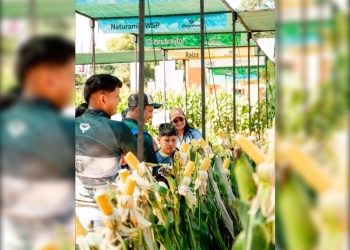 Expo Agrodinámica permitió la articulación comercial entre Paraguay, Brasil y Misiones
