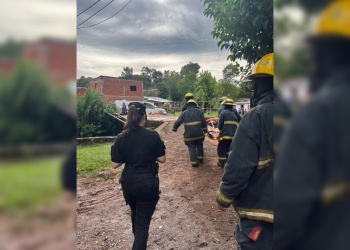 Cayó de un árbol al arroyo mientras podaba y sufrió lesiones graves