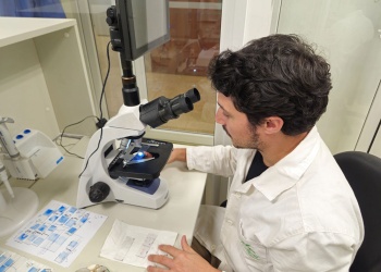 Misiones, a la vanguardia científica