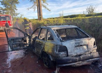 Investigan incendio de un auto en Picada Ameghino