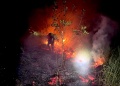 Dos incendios forestales activaron operativos en Panambí y Jardín América: sospechan intervención humana en ambos casos