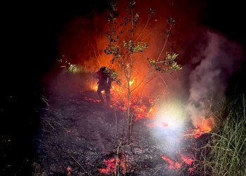 Dos incendios forestales activaron operativos en Panambí y Jardín América: sospechan intervención humana en ambos casos