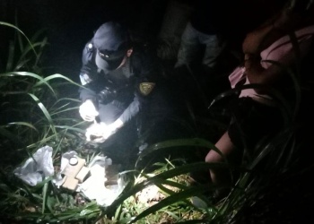 Secuestraron marihuana valuada en casi dos millones de pesos