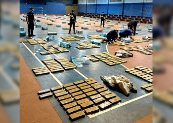 Incautaron más de 3.500 kilos de marihuana ocultos en el monte en Montecarlo