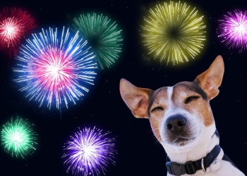 Propósitos de Año Nuevo