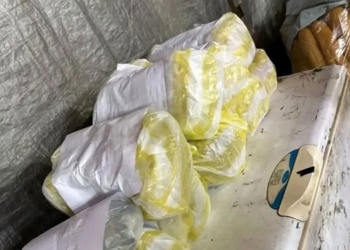 Insólito: vendía “milanesas” con mezcla de papel higiénico y cartón