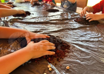 Salir a descubrir el entorno natural para generar conciencia ecológica