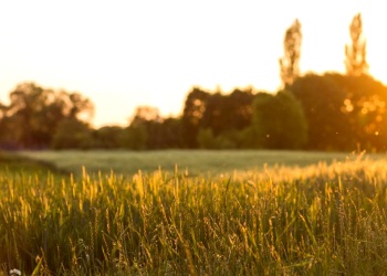 El Gobierno enviará al Congreso una reforma de la Ley de Tierras que habilita la compra a extranjeros