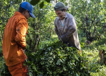 UATRE: “El nuevo aumento no involucra a las economías regionales”