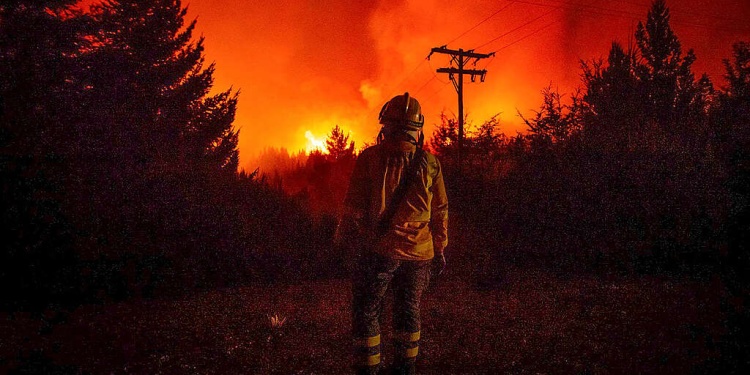 Los incendios forestales en Neuquén, Río Negro y Chubut afectan seriamente a dos Parques Nacionales y ya arrasaron más de 37.000 hectáreas de bosques y viviendas, una superficie equivalente a dos veces el tamaño la ciudad de Buenos Aires. Greenpeace reclama más prevención, brigadistas e infraestructura para respuesta rápida, y penalizar tanto incendios como desmontes.