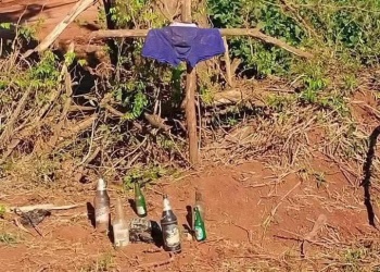 Hallazgo ritual con un lagarto muerto generó temor en las 2000 Hectáreas de Puerto Iguazú