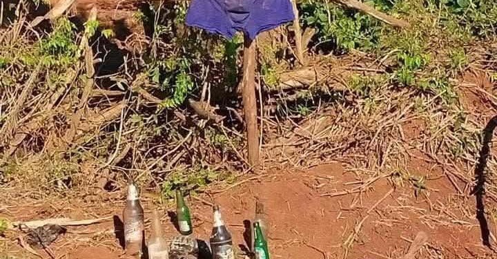 Foto: gentileza Extraprensa