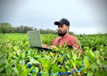 La inteligencia artificial y el  big data transforman la yerba y el té