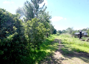 Vecinos de Nuevo Garupá denuncian “zona liberada”, abandono municipal y alimañas