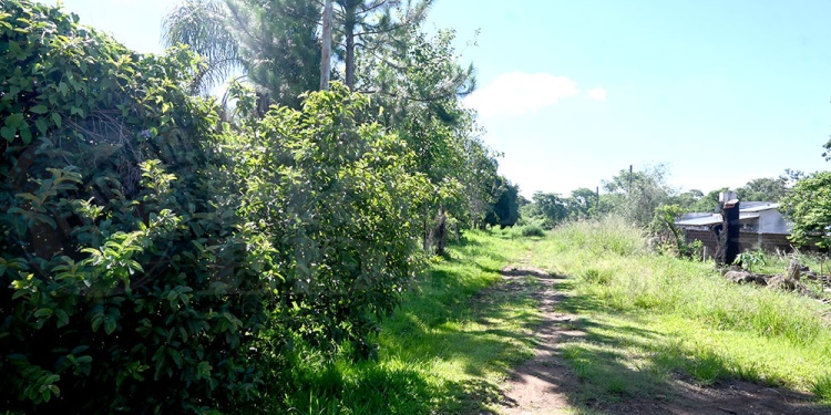 TAPADOS POR LA MALEZA. El paisaje general entre los dos barrios linderos es el mismo: “falta trabajo municipal”.
