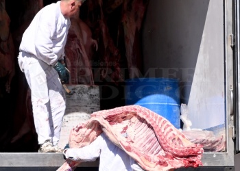 Carne en Misiones: sostienen ventas con opciones de bajo costo