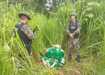Prefectura incautó 215 kilos de marihuana en Puerto Leoni