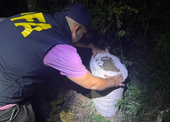 Garupá: secuestran más de 10 kilos de marihuana a orillas del río Paraná