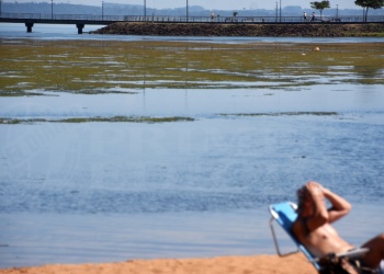 Trabajan para liberar a la bahía  El Brete de la invasión de algas