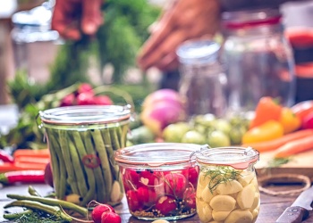 De enemigos invisibles a aliados: por qué volver a incorporar microbios a la dieta puede mejorar la salud