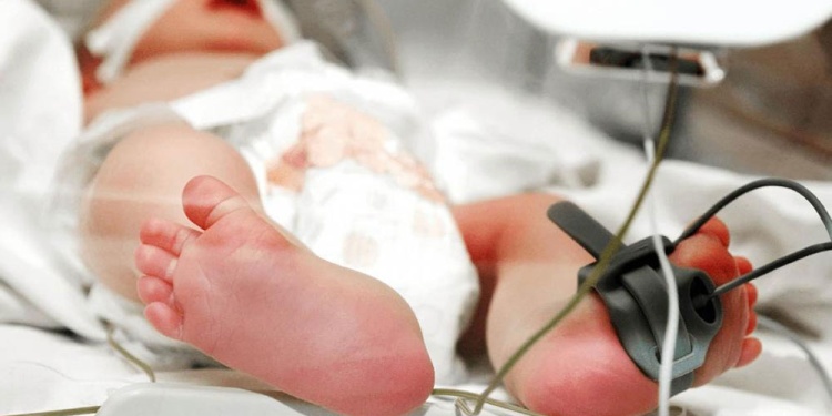 CRITERIO. La coordinación de este tipo de redes requiere de profesionales especializados, no pueden ser reemplazados por administrativos.