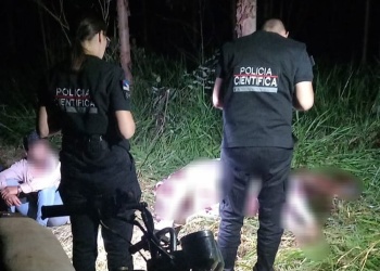 Detuvieron a dos hombres tras sorprenderlos faenando un equino