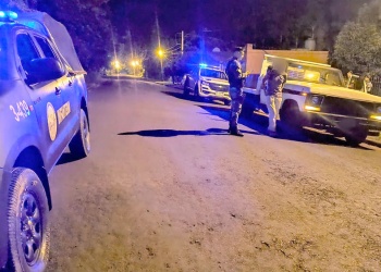 Camionero alcoholizado fue demorado tras circular en zigzag en Alem