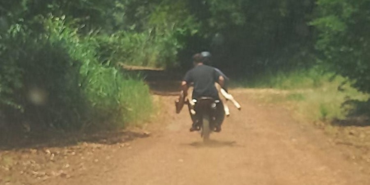 PLENA HUIDA. Los cuatreros fueron sorprendidos por los efectivos y dejaron el animal, antes de escapar por el monte.