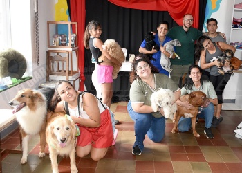 Guarderías de mascotas: alta demanda y reservas anticipadas