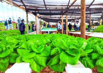 IA en el aula: 2 de cada 3 chicos usan ChatGPT para trabajos escolares