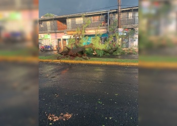 Minutos de tormenta causaron anegamientos y voladuras de techos en Posadas: cómo sigue el tiempo
