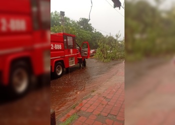 Se normalizó el servicio eléctrico tras el temporal en Posadas