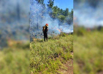 Controlaron un incendio de malezas y pinar en Santa Ana tras seis horas de trabajo