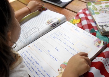 Lengua y matemática, ejes del apoyo escolar en época de verano