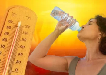 Emiten alerta amarilla por las altas temperaturas en Misiones: qué significa y a cuáles localidades alcanza