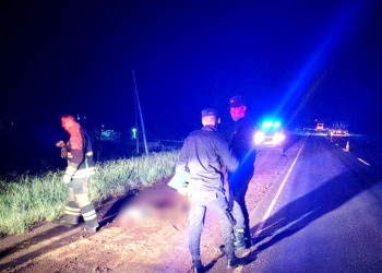 Peatón murió tras ser embestido por un auto en la ruta 12
