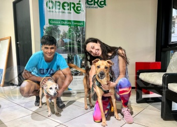 Oficina de Turismo es oficialmente Pet Friendly