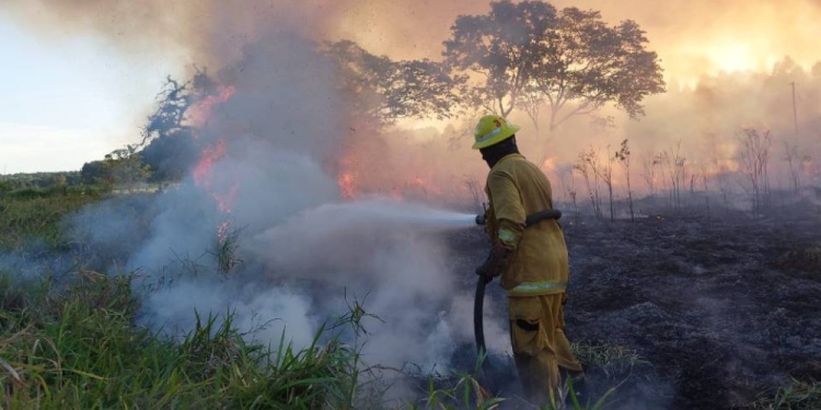 ESTADO DE ALERTA MÁXIMA. La baja humedad y la vegetación seca se transforman en un combustible altamente inflamable.