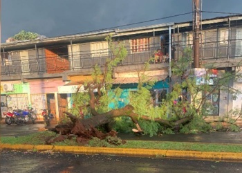 Tras fuerte tormenta del jueves, Defensa Civil pidió extremar cuidados ante nuevas lluvias