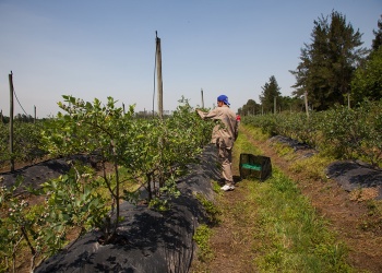 El RENATRE actualizó la Prestación por Desempleo y elevó el monto máximo a $356.895