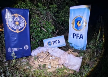 La Policía Federal secuestró más de 190 kilos de marihuana en la frontera norte de Misiones