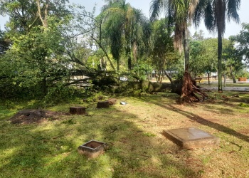 Un fuerte temporal sorprendió a Jardín América y dejó daños en distintos barrios